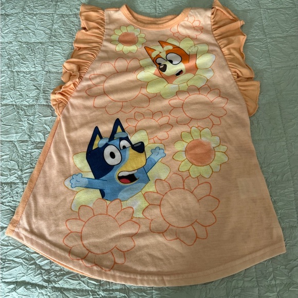 Bluey Other - Peach Floral Ruffle Nightgown with Cartoon Characters